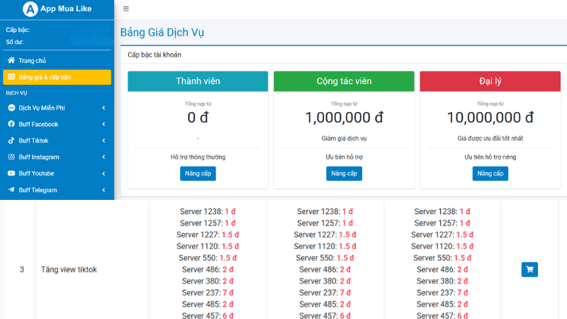 Bảng giá dịch vụ buff view Tiktok